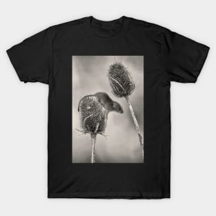 Harvest Mouse T-Shirt